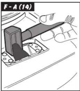 F - A (14)