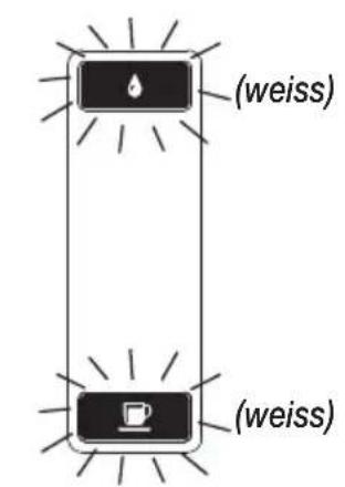 Delizio Compact - Ausdampfen / Aufbewahrung / Transport - 1