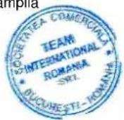 Venga VG CM 2 - CERTIFICAT DE GARANTIE TEAM/ROMIX/KALORIK/MAYBAUM/MAGIC/PMD/ECOLINE/ROYAL - 1