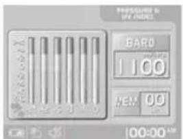 PRESSURE D UPY INDEX BARD 100 HIV. 00 100-00 AUR