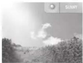 OREGON SCIENTIFIC AWS899 - WEATHER FORECAST DISPLAY - 1