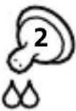 PHILIPS Avent SCF312 - Choosing the right teat for your baby - 2