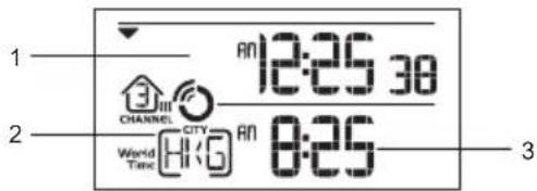 OREGON SCIENTIFIC BAR916HG - HEURE ET DATE - 1