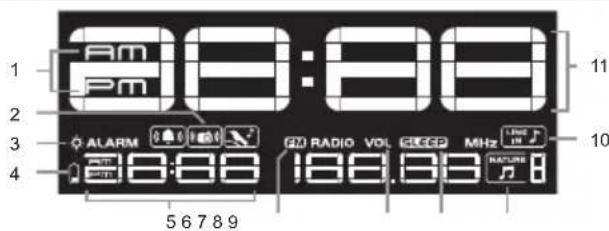 OREGON SCIENTIFIC WS902 - LCD DISPLAY - 1