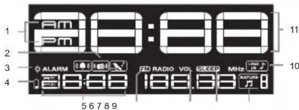 OREGON SCIENTIFIC WS902 - DISPLAY LCD - 1