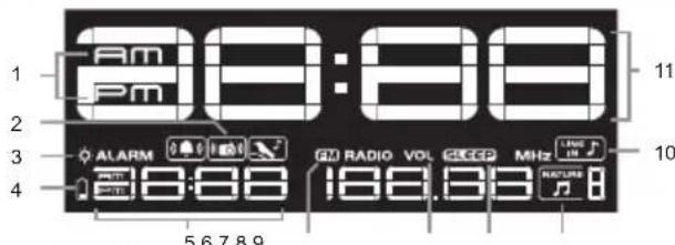 OREGON SCIENTIFIC WS902 - LCD-ANZEIGE - 1
