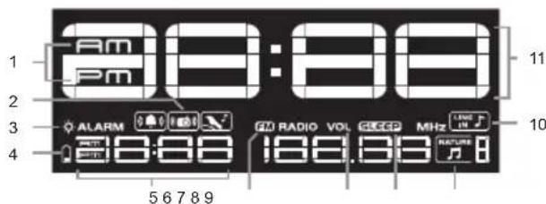 OREGON SCIENTIFIC WS902 - LCD DISPLAY - 1