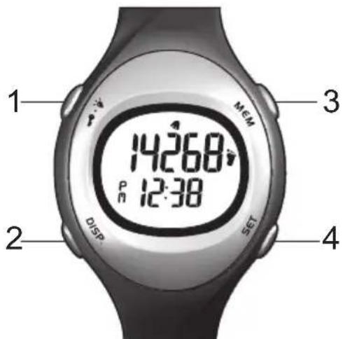OREGON SCIENTIFIC PE603 - OVERSIKT - 1