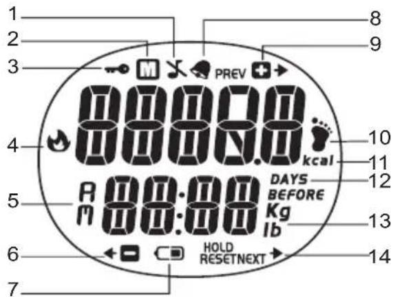OREGON SCIENTIFIC PE603 - ERSTE SCHRITTE - 1