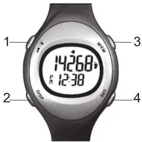 OREGON SCIENTIFIC PE603 - VISÃO GERAL - 1