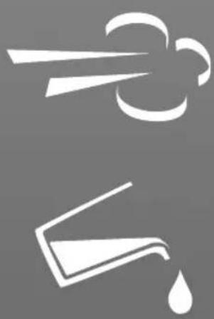 HOOVER IronSpeed SFD 4103 - Importantes Instruções de Segurança - 1