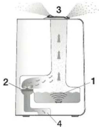 BEURER LW 110 - Principle behind the LB 45 air humidifier - 1