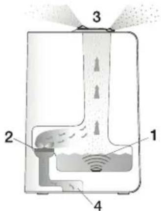 BEURER LW 110 - Principe de l'humidificateur d'air LB 45 - 1
