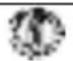 BEURER LB 50 - Explication des signes - 3