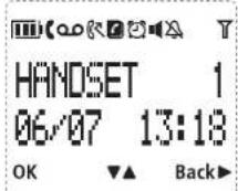 MOTOROLA D701 - Displaysymbole auf dem Mobilteil - 1