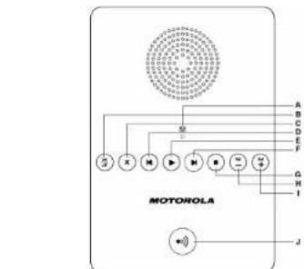 MOTOROLA D711 - D Back displayed - 3