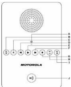 MOTOROLA D710 - D Back▶ displayed - 1
