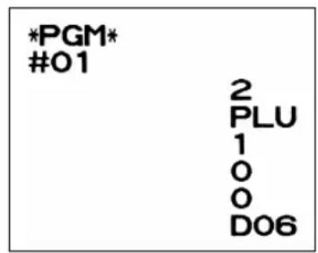 *PGM* #01 2 PLU 1 0 0 D06