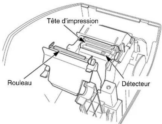 Tête d'impression Rouleau Détecteur