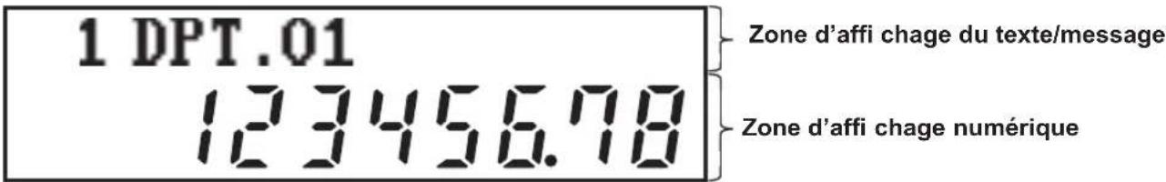SHARP ERA411 - Écran client - 1