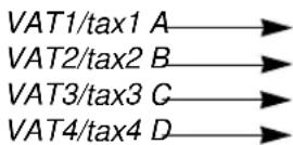 SHARP ERA220 - Automatic VAT 1 and automatic tax 2-4 system - 2