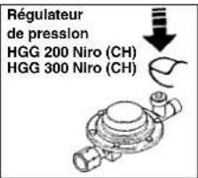 EINHELL HGG 300 Niro - Combustible - 2
