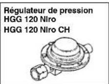 EINHELL HGG 300 Niro - Combustible - 1