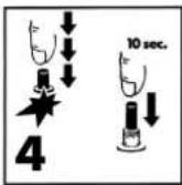 EINHELL HGG 300 Niro - Mise en service - 4