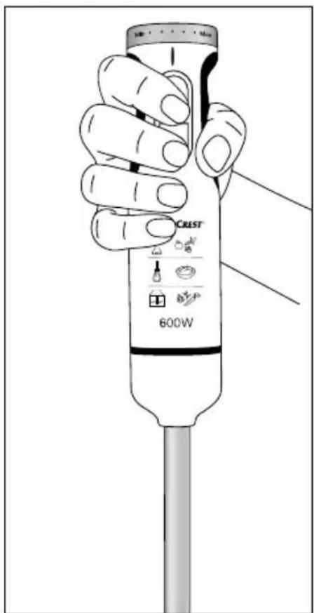 SILVERCREST SSMS 600 C3 - Tenir l'appareil - 1