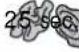 SILVERCREST EDS SSM 600 D2 - Toepassingsgebied: - 7