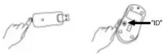 "ID"