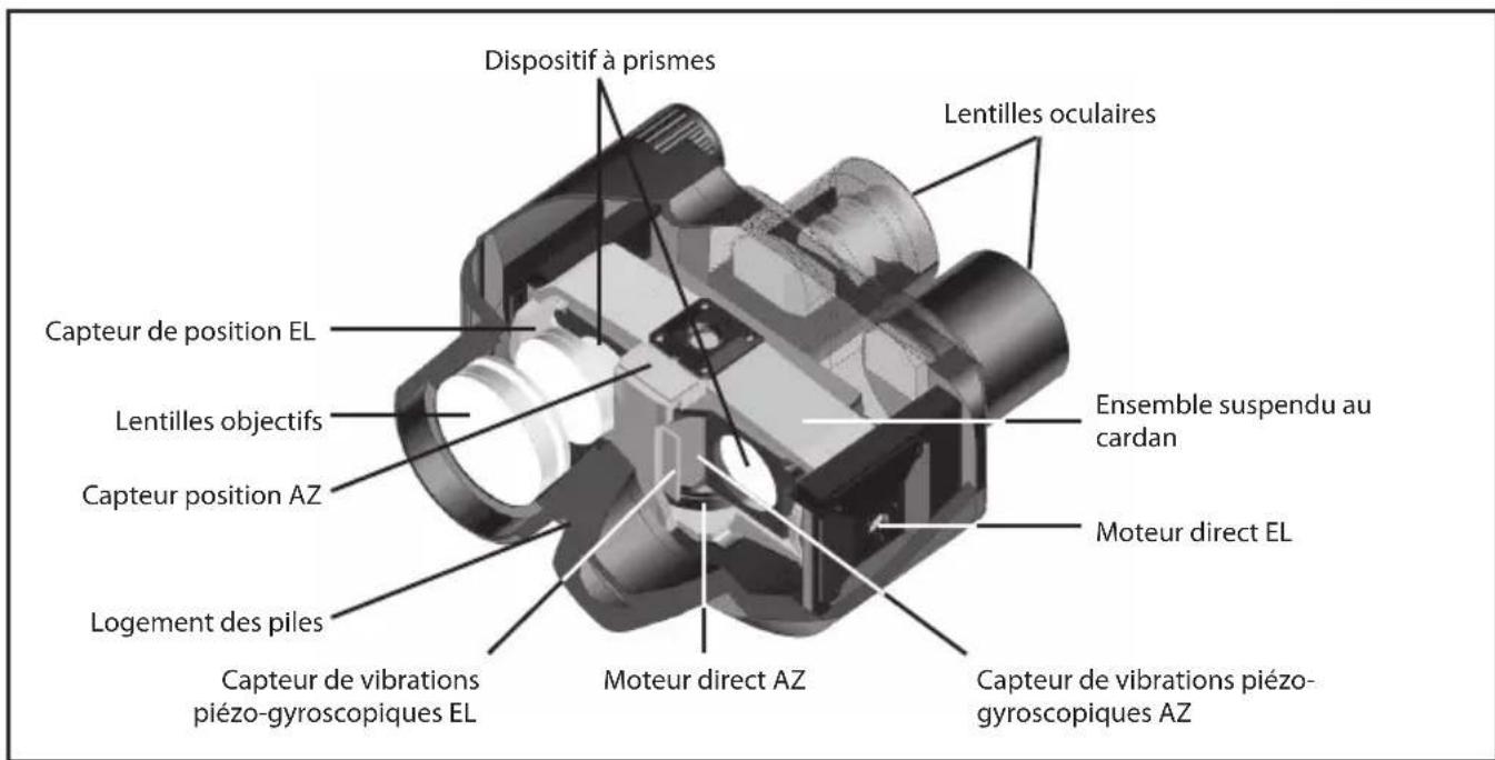 NIKON StabilEyes 14x40 - Stabilisation numérique d'image — Fonctionnement - 1