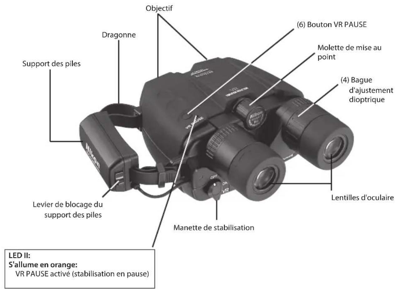 NIKON Stabileyes 12x32 - Faisons connaissance - 1
