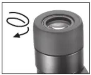 NIKON Stabileyes 12x32 - Eyepiece - 1