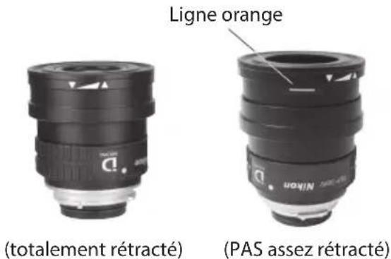 NIKON PROSTAFF 5 82A - CONTENIDO - 3