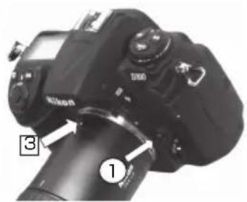 NIKON FSAL2 - ChTne - 2