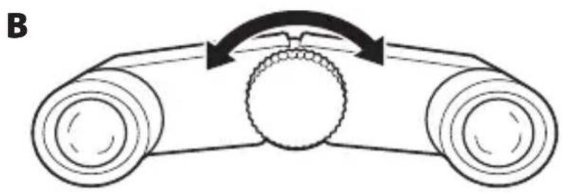 NIKON 4x10DCF - Enfoque - 1