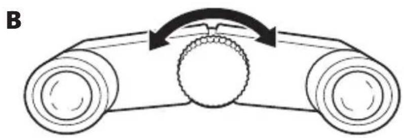 NIKON 4x10DCF - Fokusering - 1
