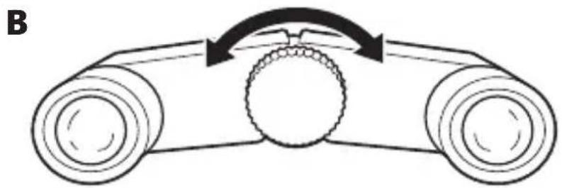 NIKON 4x10DCF - Focusing - 1