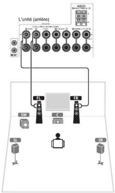 YAMAHA TSR6750 - Utilisation d'une fiche banane - 2