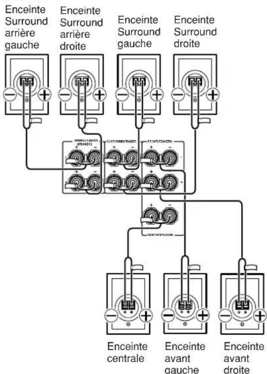 ONKYO TX603E - Connexion des cables d'enceintes - 5