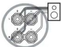 ONKYO TX603E - Precauciones durante la connexion de los altavoces - 2