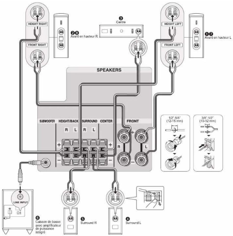 ONKYO HTR494 - Raccordement des enceintes - 2
