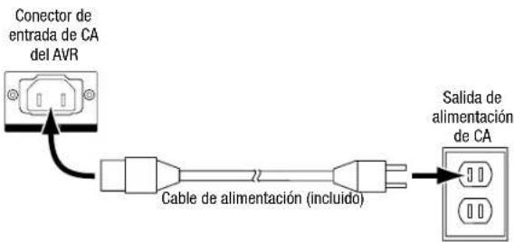 Conector de entrada de CA del AVR Cable de alimentación (incluido) Salida de alimentación de CA