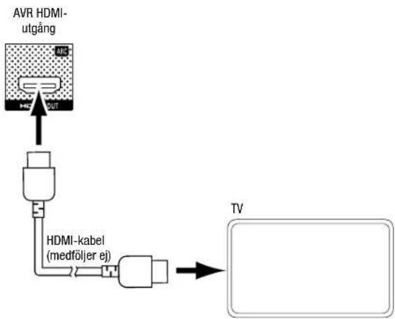 JBL AVR 101IN - Ansluta TV- eller videoskärm - 1