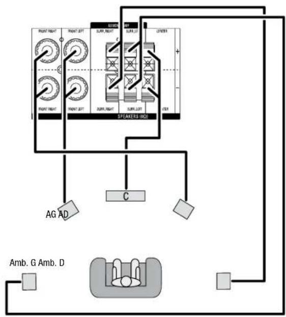 JBL AVR 101IN - Raccordement de vos enceintes - 1