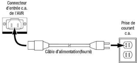 Connecteur d'entrée c.a. de l'AVR Câble d'alimentation(fourni) Prise de courant c.a.
