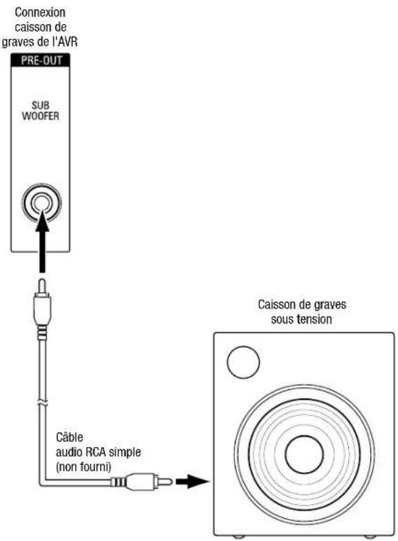 Connexion caisson de graves de l'AVR PRE-OUT SUB WOOFER Câble audio RCA simple (non fourni) Caisson de graves sous tension