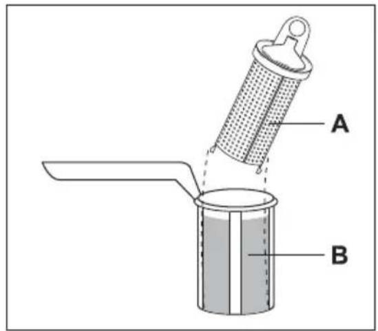 A B