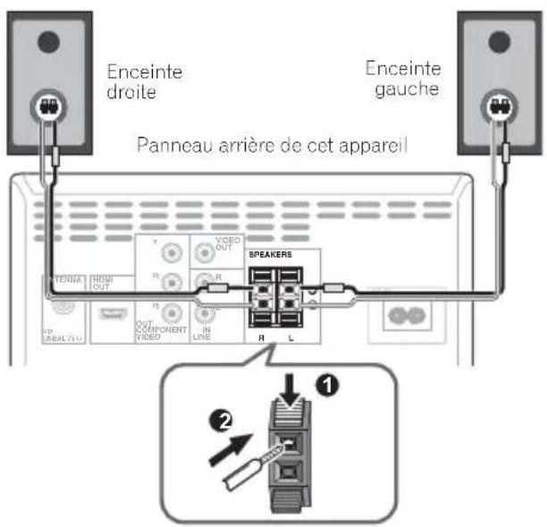 PIONEER XCM52BTK - Raccordement des enceintes - 1